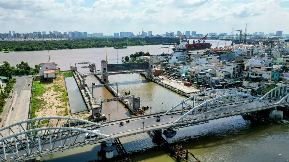 s3sodn cay cau cu 3447.jpg