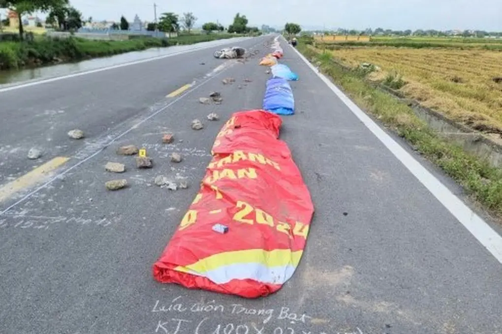 s8qtiq phoi luajpg 1762694037565