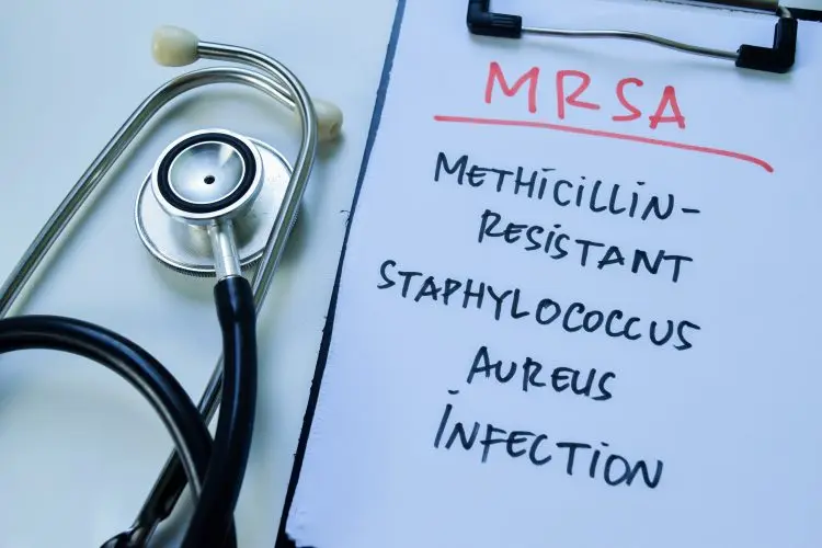 sykyor shutterstock 2394405877 750x500 1