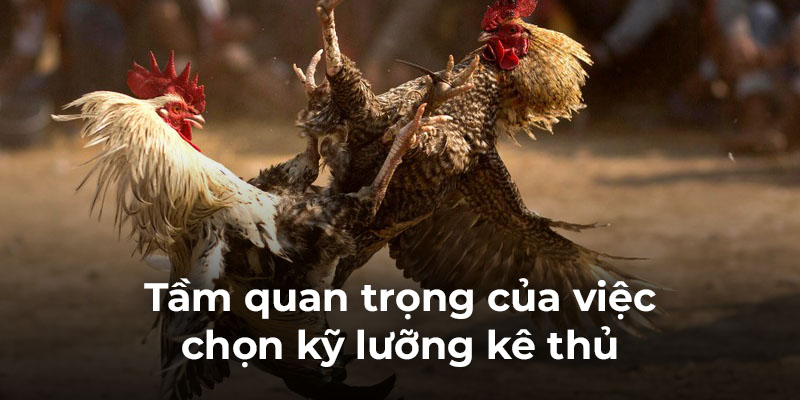 tam quan trong cua viec chon ky luong ke thu