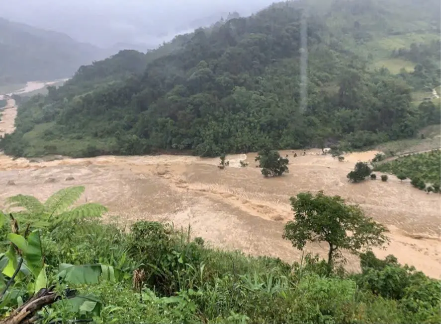 td61ew 320251028203240