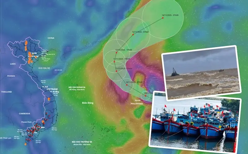 tpj0pq Bao Bien Moi Nhat 01