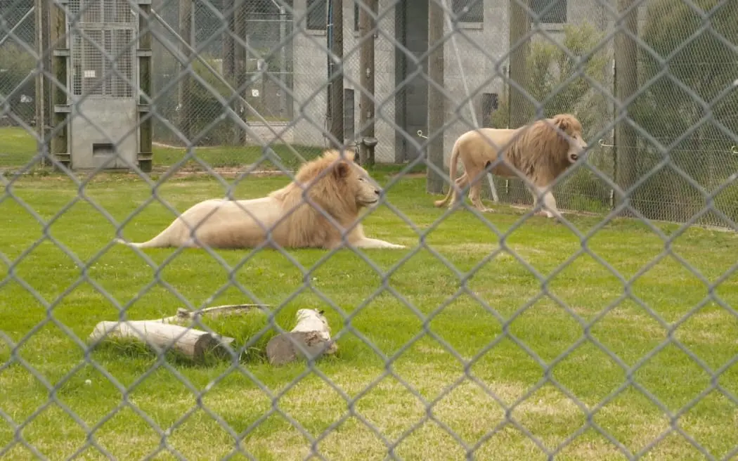 u971zw 4LZLRFV copyright image 282863