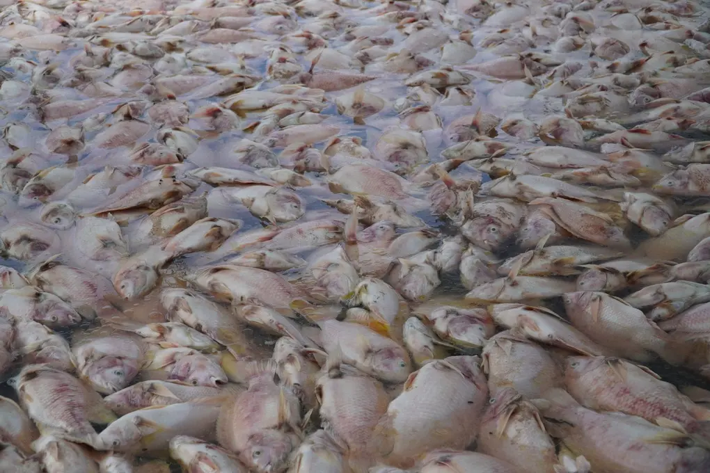 ur4dgp dsc04071jpg 1761910806340