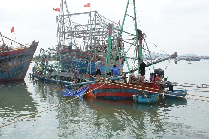 v3l7f6 giai cuu tau ca bi chim sinhthainongnghiep