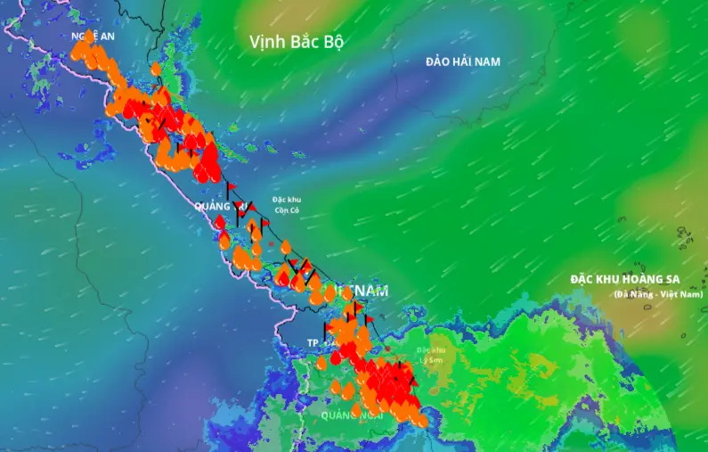 vahrfj photo 1761972425302 1761972428125562062215