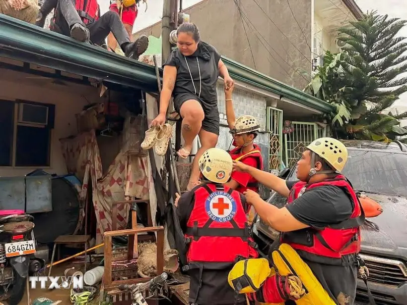 vpbfr6 84400 philip 1 11054805