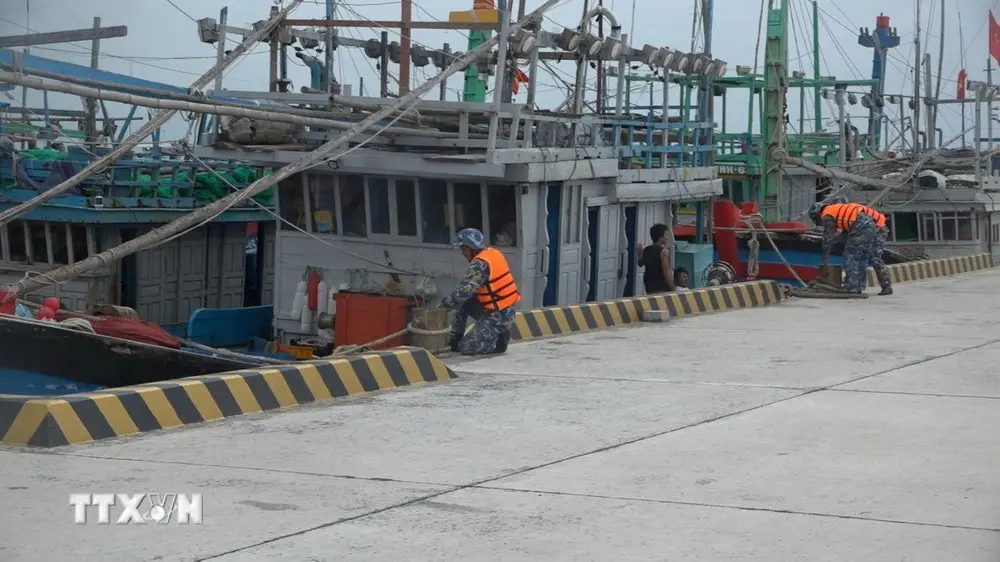 vxb7b3 neo dau thuyen