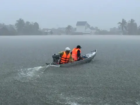 vzxdxf mua lu 1 17636201957741454978592