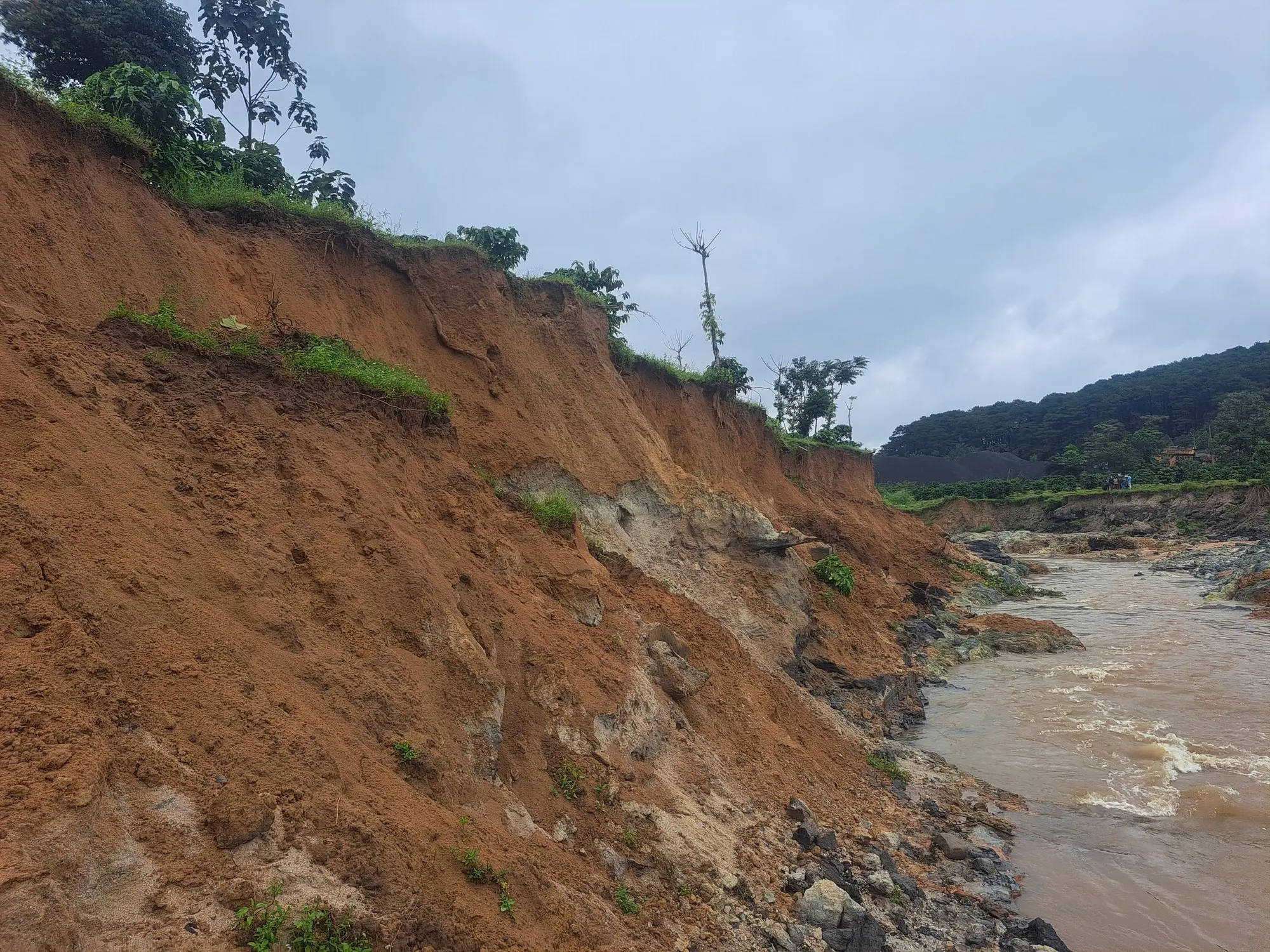 w0udl4 z47946904360650cde63b6b18b74fdf839c1be71aba4e8 16976209037381053333366 1697689667919 16976896682481965406214