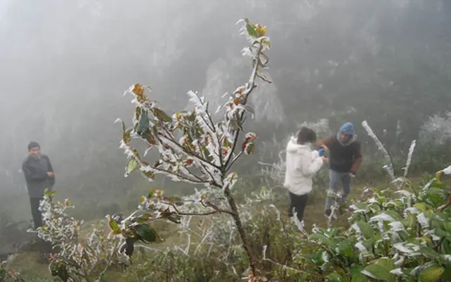 wpcnte mien bac chuan bi don 2 dot khong khi lanh la thuong ret dam keo dai 1735204324365762283503 0 34 654 1080 crop 1735204347385639347882