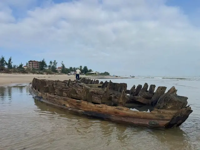 wu0y0l z720184063660742661568c8e78f4eb3f09a97535645f8 17625795657651647801799