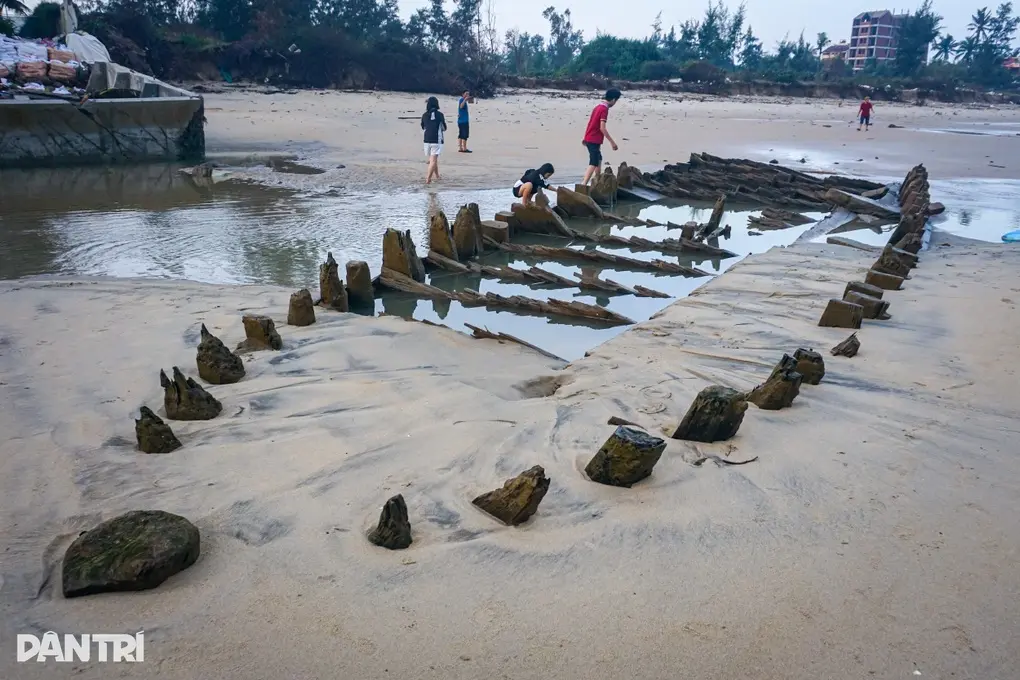 wxcb6w tai co o da nanghoai son1jpg 1763283004201