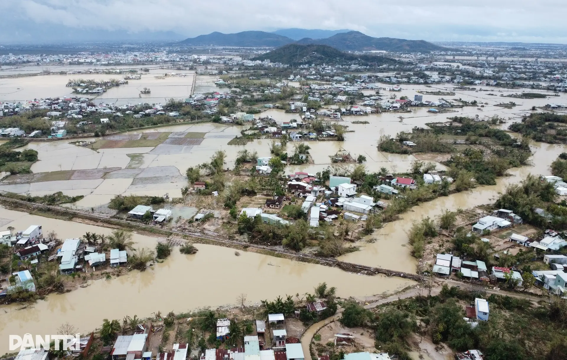 xltfpi gia lainguoi phu nu ngheo bat khoc sau lu lich sudoan cong 1jpgjpg 1763889123040