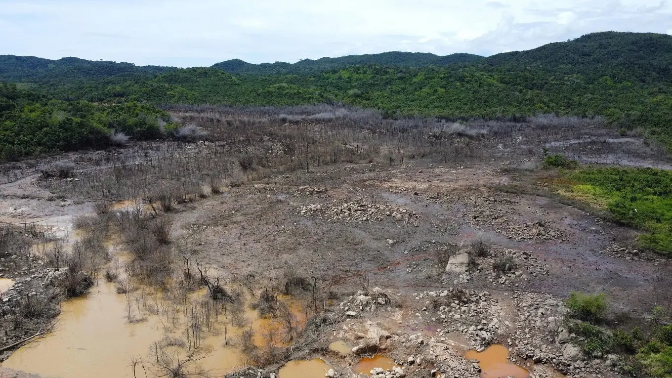 xwx5jf tai xuong 4 jfif 1762157555 9653 1762157726