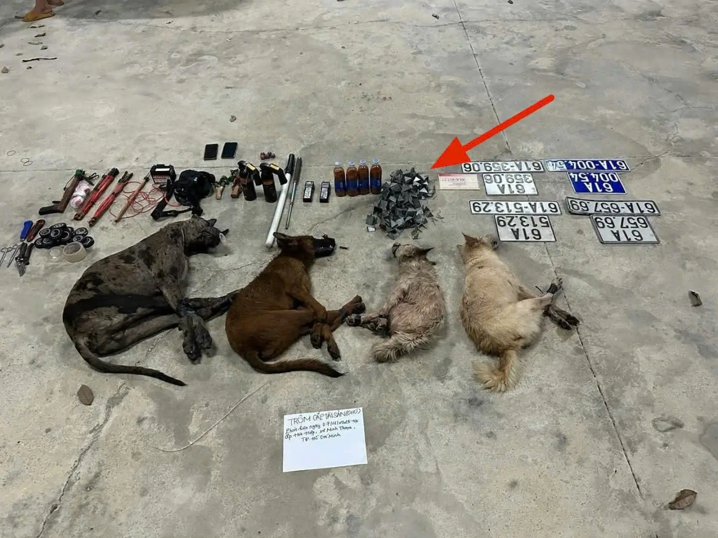 y0vom5 z7197897380499 3836d941d1cc02112b408e396c72bad4