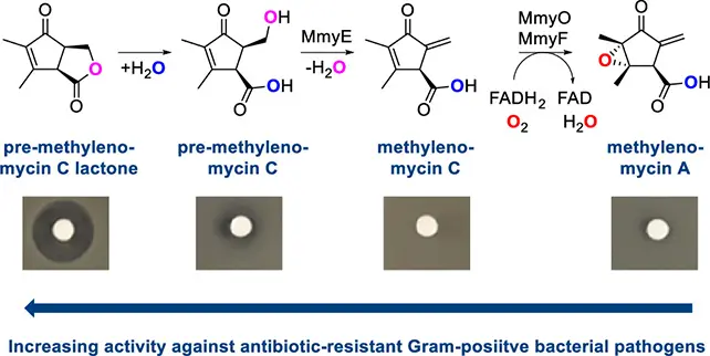 y4irkw AntibioticGraphic