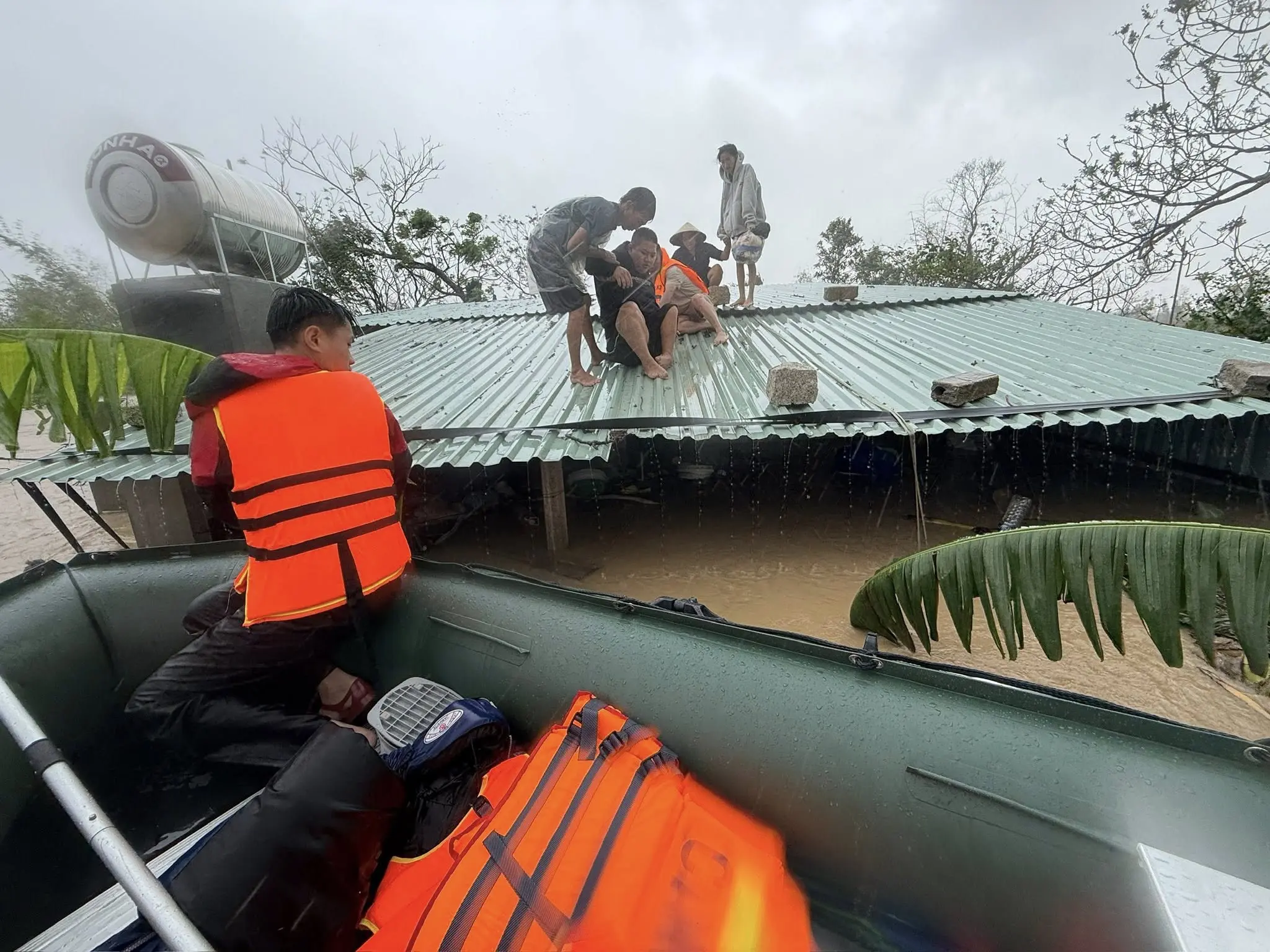 yo8o9e daklak3 17637983481041328031486