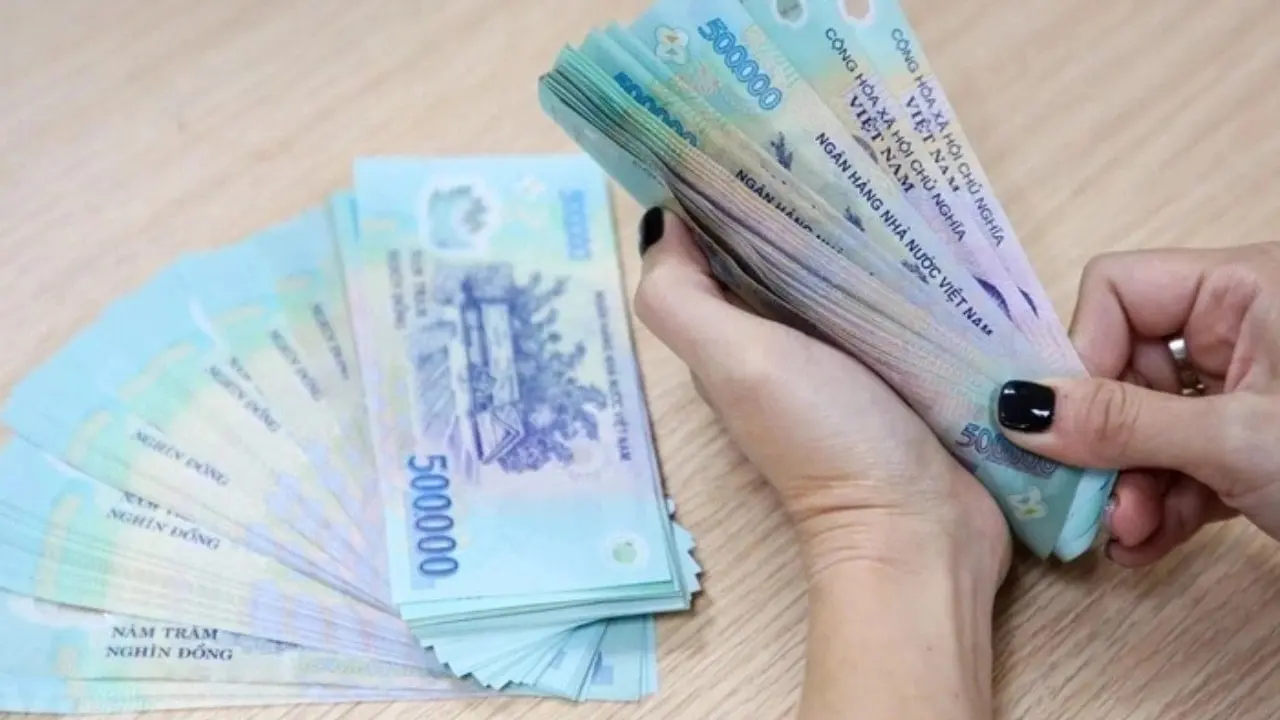 z1nalr 81dd3f54c5ff44d708c05cf377e3ca26