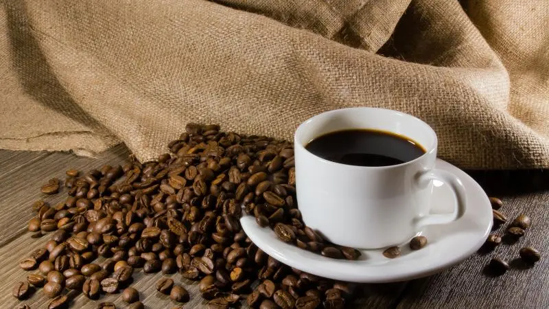 z282y8 gia ca phe hom nay 11 11 2023 giam 200d so voi hom qua 202311111147485624