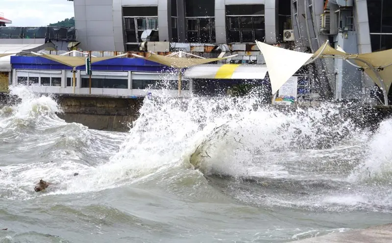 z5cq54 Du Bao Bao So 15 Bie