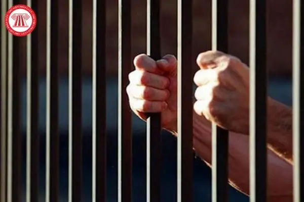 zd8gh5 chuyen phat tu