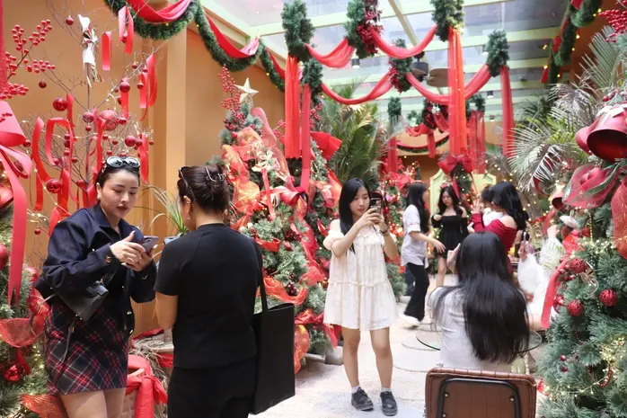 zqyjdj img2571 1701215973333798487706