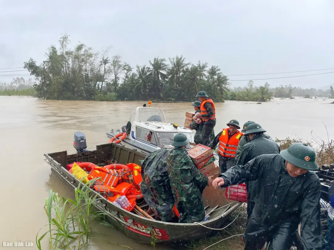 zvynaz 1720251120185116 1763685321493757287743