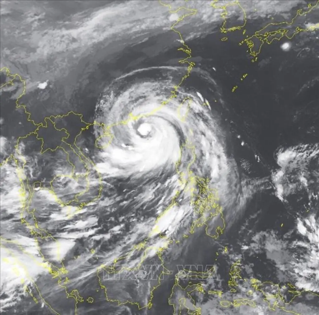 1oot1e 125620 5feb9bc2 b1a9 4c2a b30a e0246575a052 20251128150203