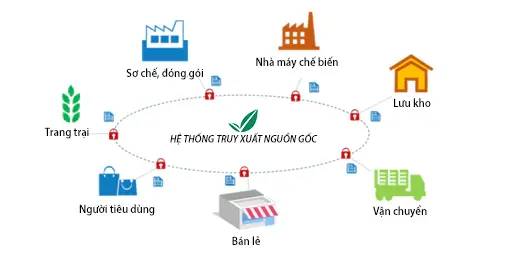 2xotsv quy trinh truy xuat nguon goc
