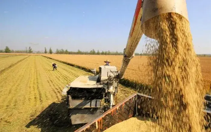 3r2jts package media 77137324813206966129523 55661713406552780844313