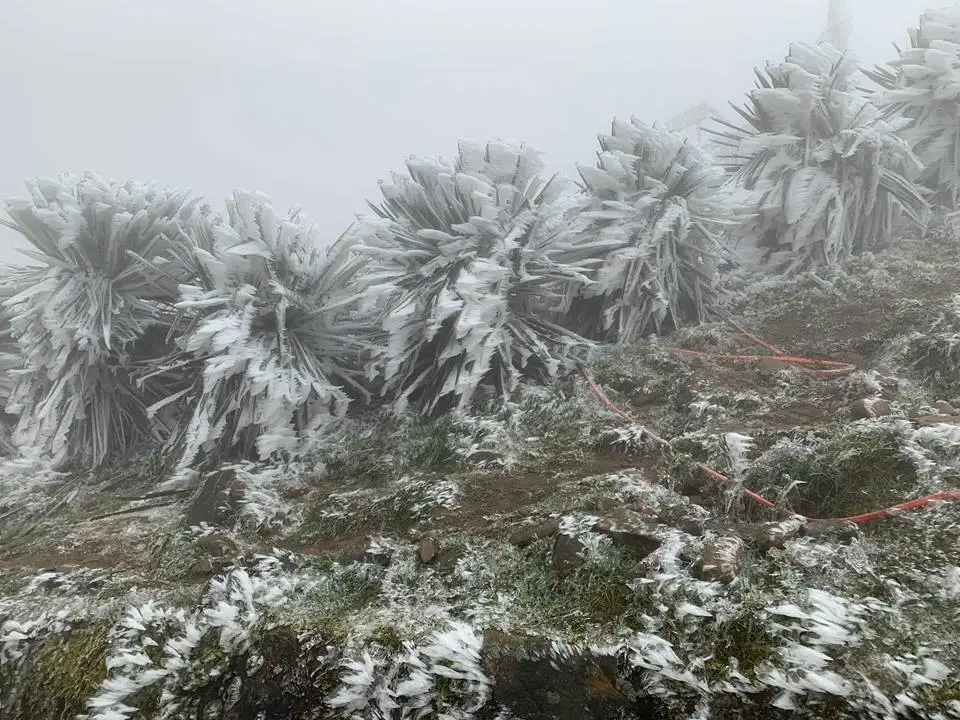 40tc84 ret dam 17341442077091742230447