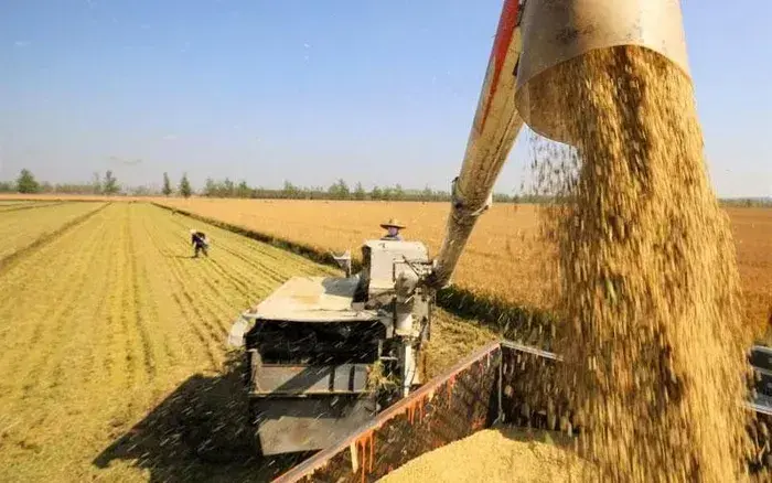 4iphtv 3r2jts package media 77137324813206966129523 55661713406552780844313