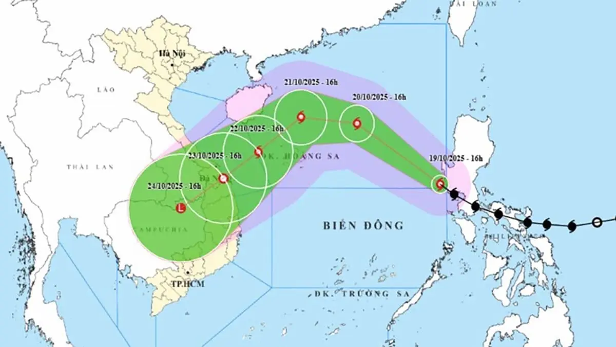 68kse5 1760876194251 bao so 12 1