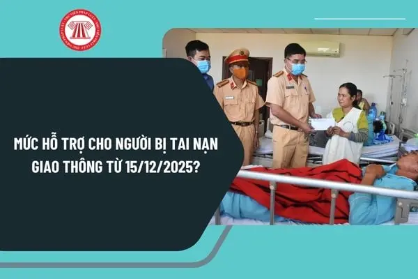 6zitxt muc ho tro nguoi bi tai nan giao thong