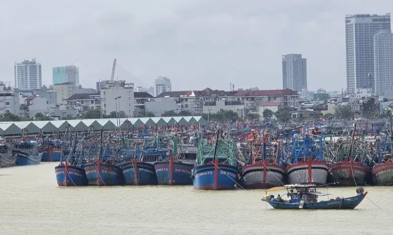 895aai bao 2025 145446