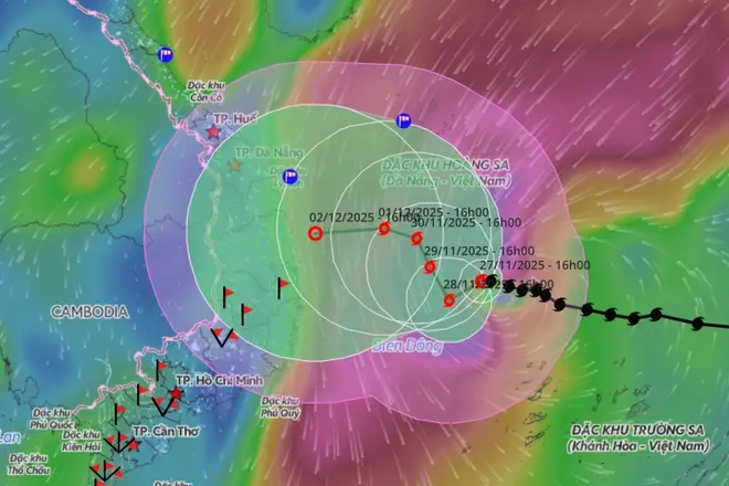 8hkfth bao so 15 Koto 1