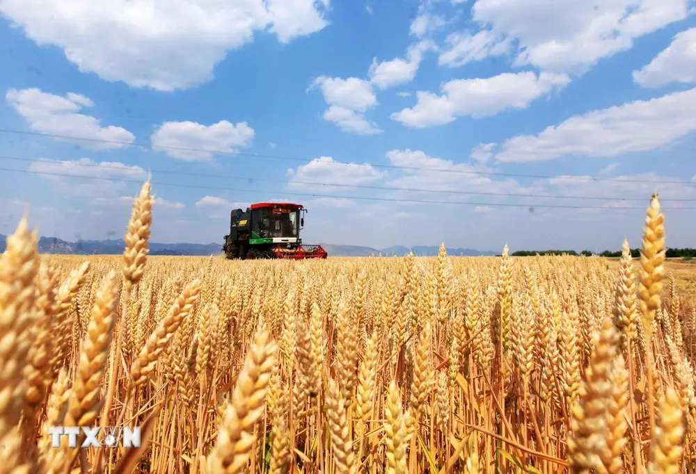 93igg2 lua my trung quoc