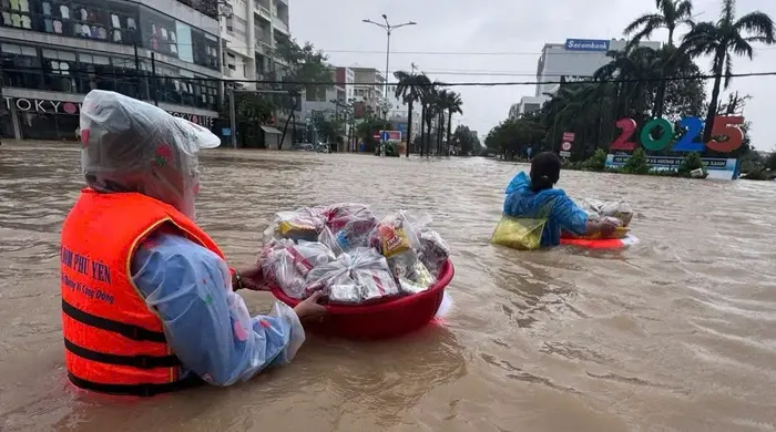 avimhe tinh nguoi mua lu 1 17637287553621282175605 245 0 975 1395 crop 17648253992801076445973