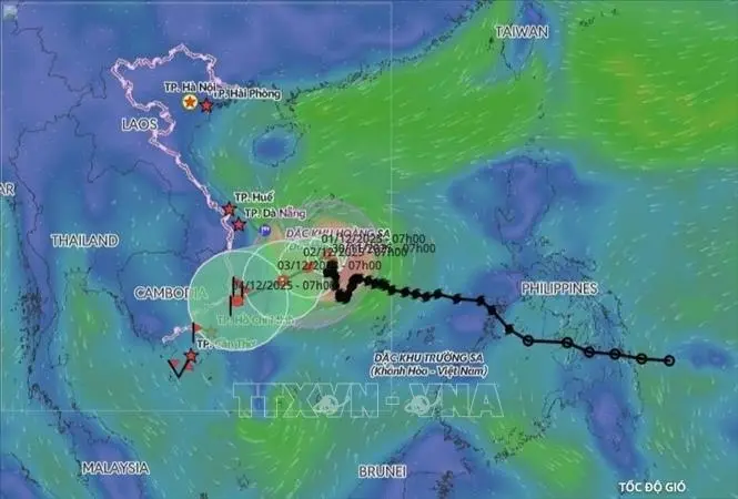 beedt4 25112025thuy34