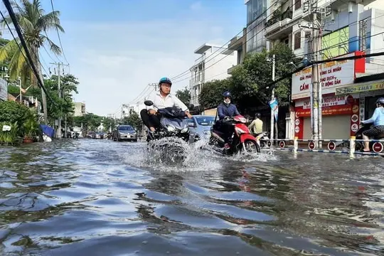 cnelvh 9860 1666752218 tp hcm