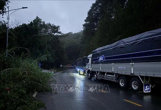 duauly deo 301125 1764843299023 17648432993941456026597