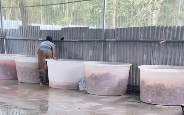 e63zl2 img5213 17179982904601832441535 80 0 598 828 crop 1717998358461407013396