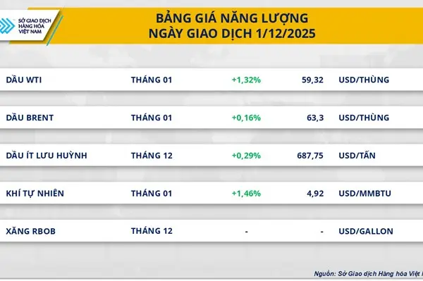 eg36tj nang luong 20251202092954