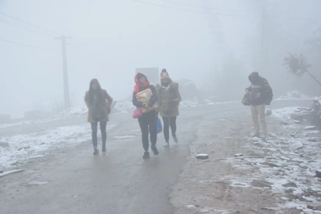 f5bwe0 13 1607835817 1