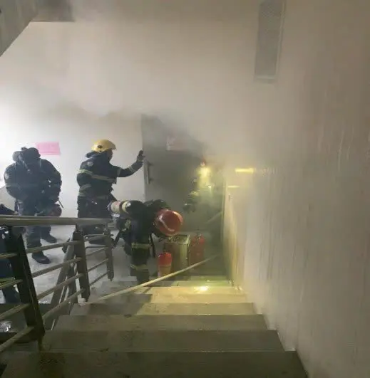 fdxwnk 1 17393396202811024810569