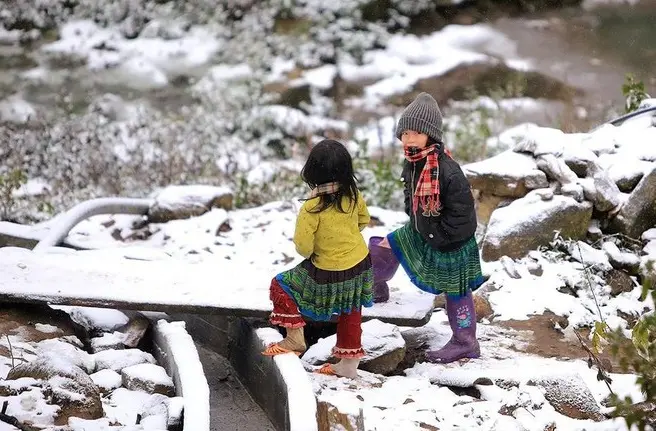 g2mjdf 13 1731681278 anh