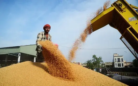 hk2cyn lua my 41122475115713020160424 69095438535930148009760