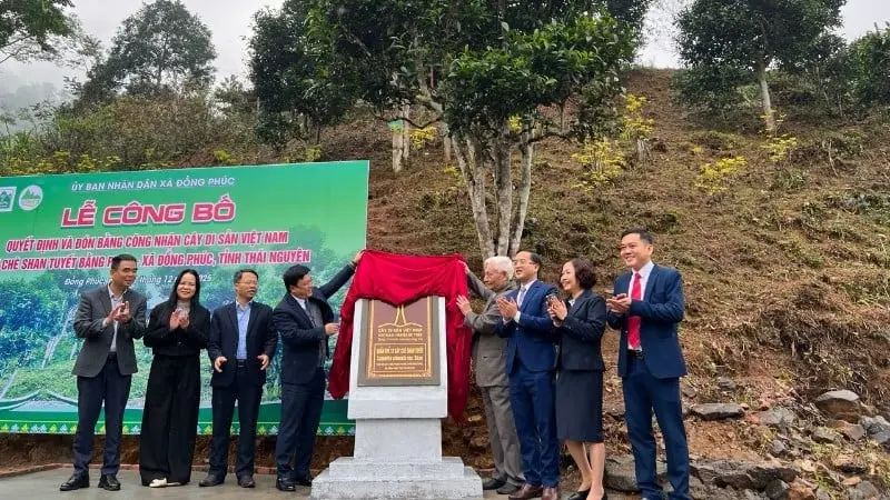 hrzr99 1765548269647 31 6366