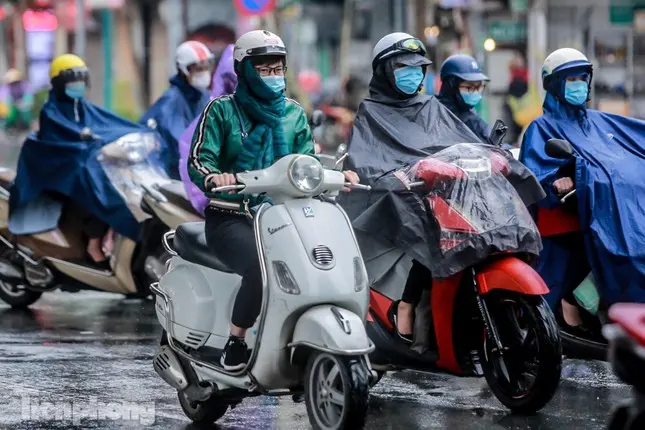 ifp0if photo 1 16720173074201806153478